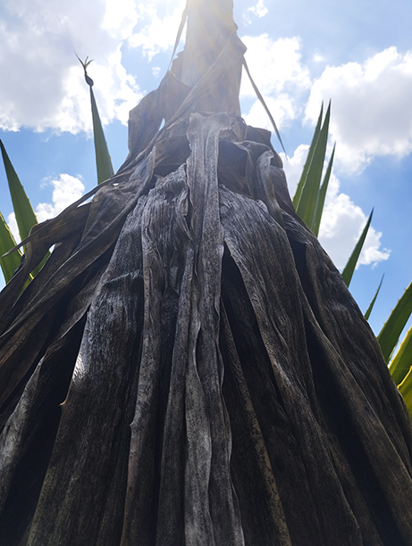 figura antiga e mágica&nbsp;(2025)