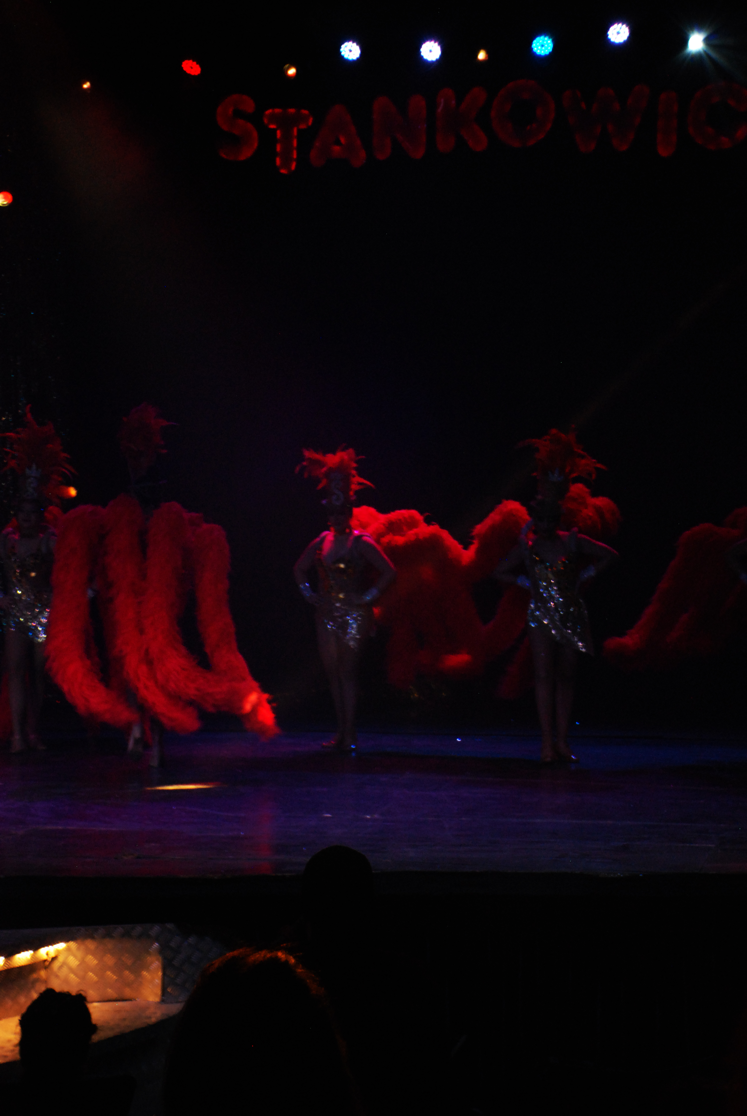 Artigo 1031 sem título