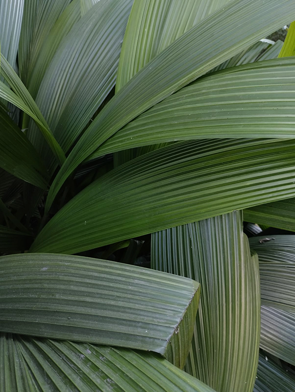 embrenhar-se no dia a dia&nbsp;(2025)