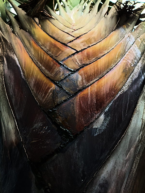 Artigo 1272 sem título