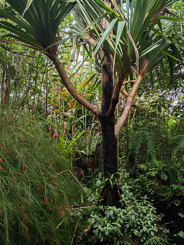 paraíso ao meu&nbsp;alcance
